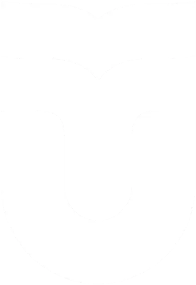 telu icon